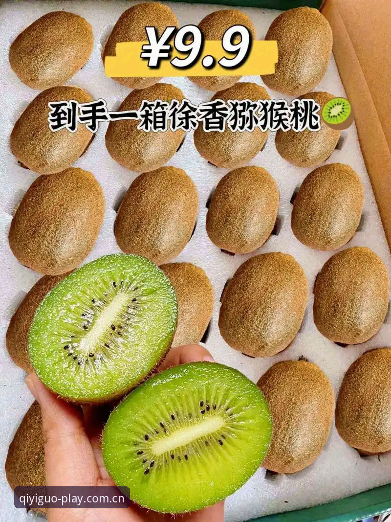 奇异果体育版本更新安装实用指南：从下载到升级的必备知识