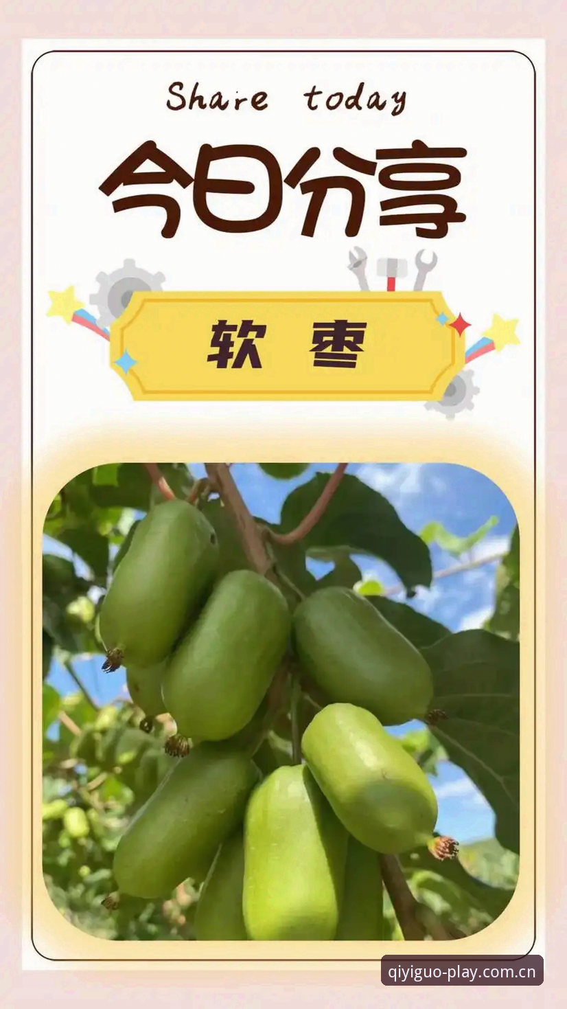 揭秘奇异果官方平台使用指南：你不知道的体育应用高效操作真相